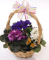 Adorable Basket for Mom