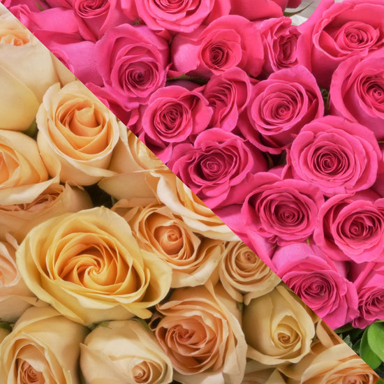 Peach & Hot Pink Roses