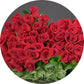 Red Roses