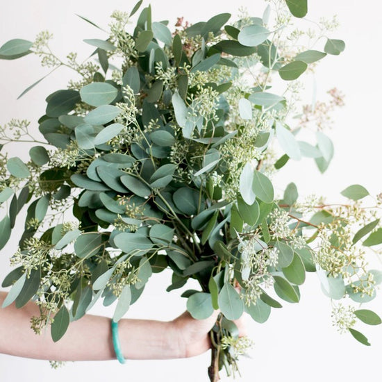 Seeded Eucalyptus Bunch