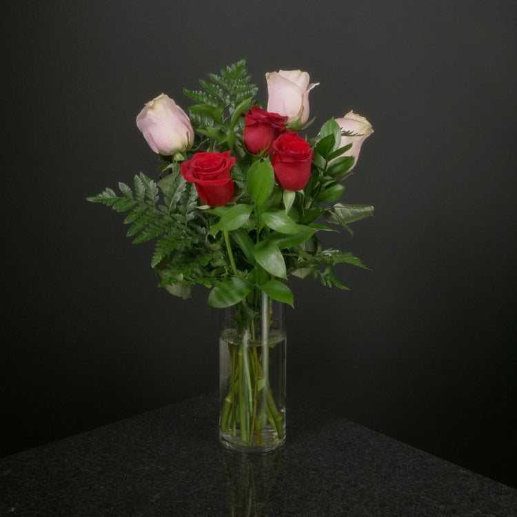  6 Roses / Vase / Basic