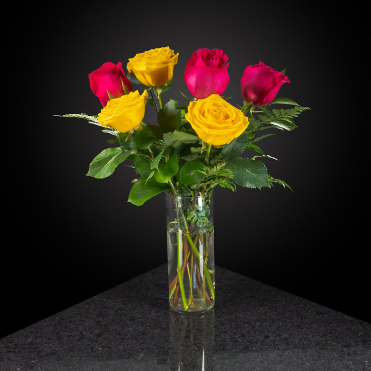  6 Roses / Vase / Basic