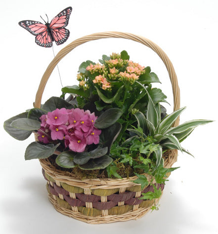 Basket Arrangements – Langdon's Inc.